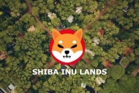 Shiba Inu Shiberse projesinden merakla beklenen 'O' açıklama geldi!