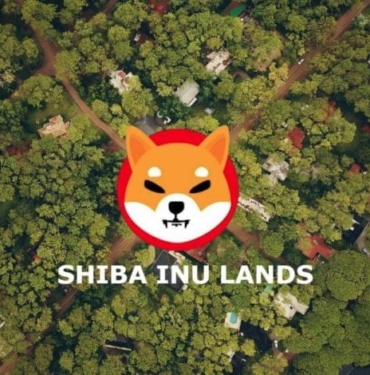 Shiba Inu Shiberse projesinden merakla beklenen 'O' açıklama geldi!