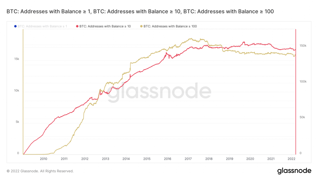 Bitcoin adreslerinde şaşırtan değişim! Aralık 2018'den bu yana artıyor!