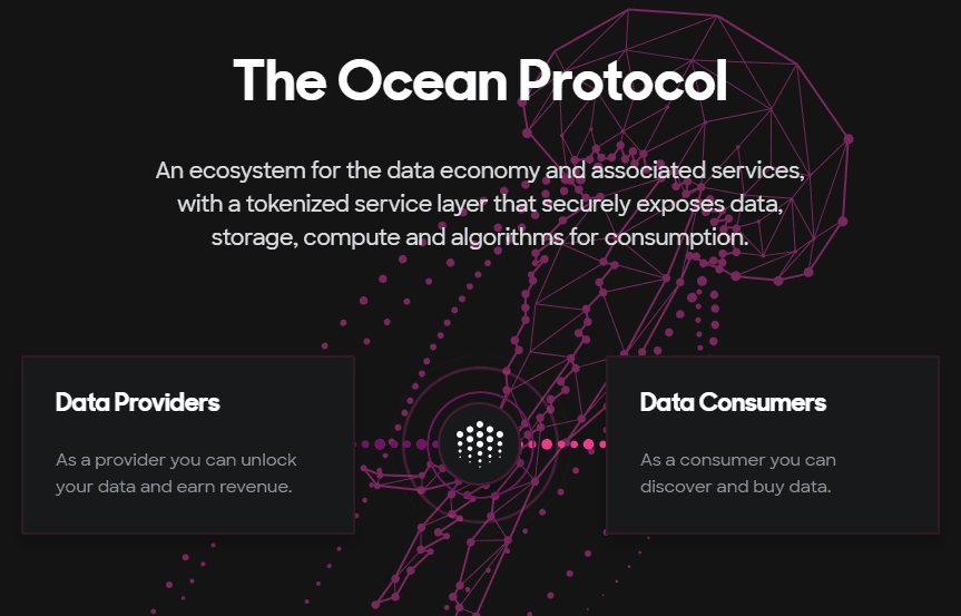 Ocean Protokol (OCEAN) coin nedir, nasıl alınır? Geleceği var mı?