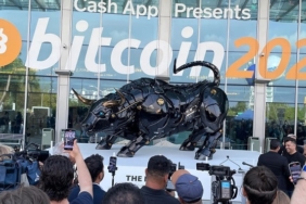 İşte, Wall Street Boğası’na karşı yeni Bitcoin boğası