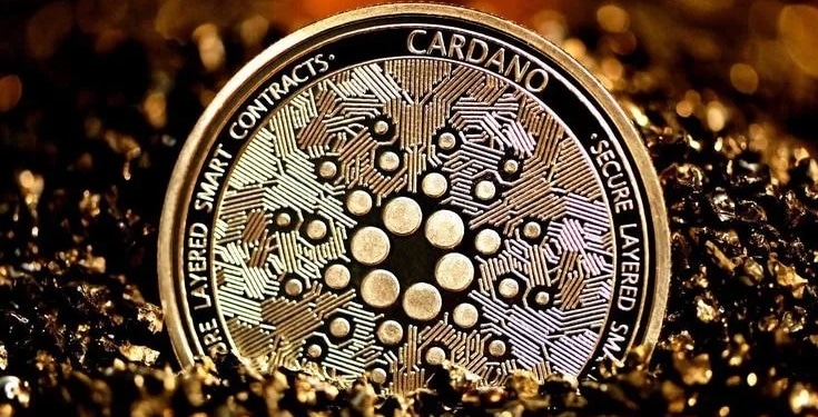 cardano 11