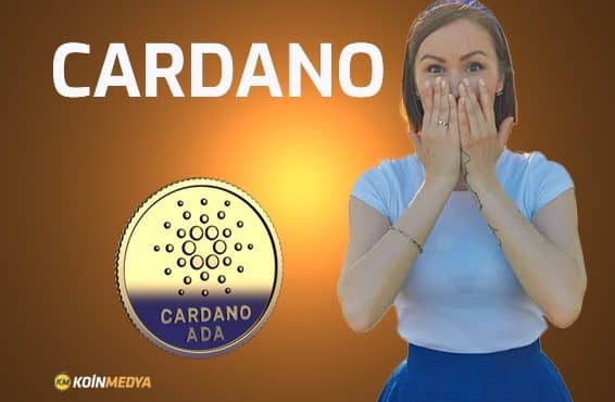  Cardano