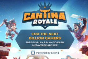 Elrond Tabanlı Cantina Royale