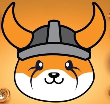 Floki coin nedir? FLOKI/USD yorum, geleceği ve haberler