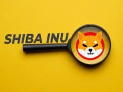 Shiba-Inu-SHIB