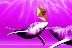 ethereum-icin-boga-balina-koinmedya-com