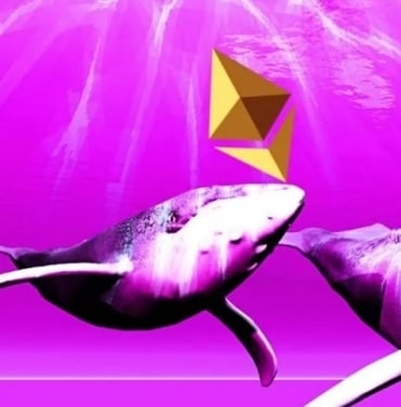 ethereum-icin-boga-balina-koinmedya-com