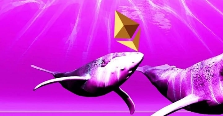 ethereum-icin-boga-balina-koinmedya-com