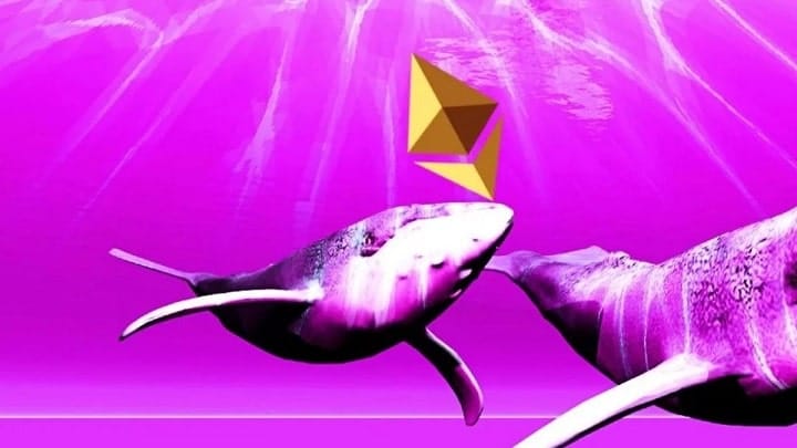 Kripto balinalarının gözünü diktiği Ethereum tabanlı iki kripto para