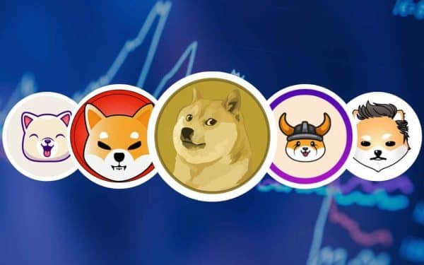 Meme coin yatırımcılarına büyük şok: Shiba, Floki, DOGE, ELON ve PEPE