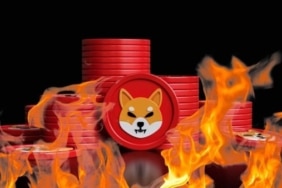 Shiba coin burn rakamlarında %1.300'e varan muazzam artış!