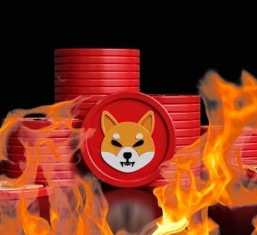 Shiba coin burn rakamlarında %1.300'e varan muazzam artış!