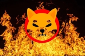 shiba-coin-burn-koinmedya-com