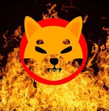 shiba-coin-burn-koinmedya-com