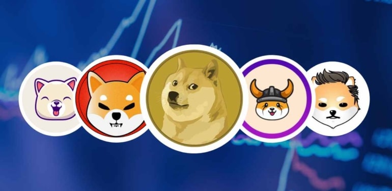 shiba Inu