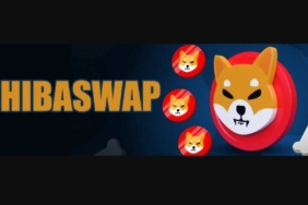 Shiba Inu'yu Dogecoin'den ayıran ShibaSwap nedir ve nasıl çalışır?