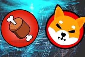 Shiba Inu (SHIB) fiyatında yeni ralli: İşte, ShibaSwap (BONE) bağlantılı önemli sebebi