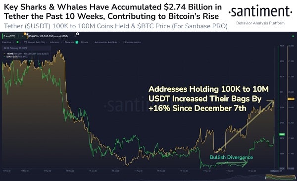 Bitcoin’deki yükselişin dev balinalar bağlantılı 3 sebebi