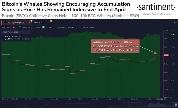Bitcoin balinalarının fiyat düşünce yaptığı inanılmaz birikim