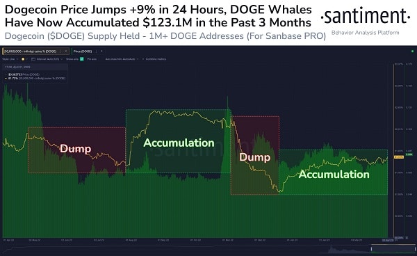 Fırsatın kokusunu alan balinaların Dogecoin (DOGE) stratejisi