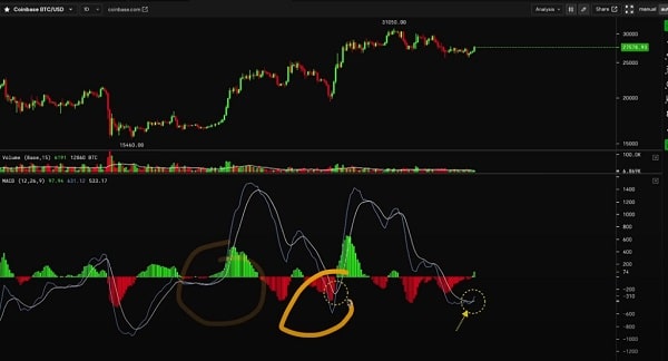 Ünlü analist, Bitcoin için parabolik ralliye işaret eden boğa sinyali açıkladı