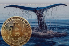 Dev balinadan aniden 627 milyon dolarlık Bitcoin hareketi: BTC'ler nereye gitti?