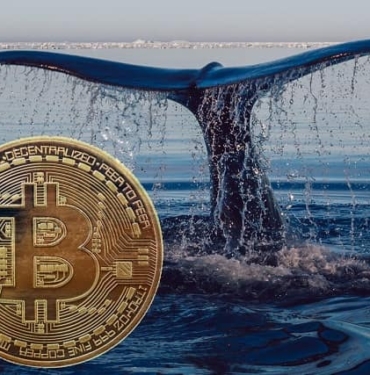 Dev balinadan aniden 627 milyon dolarlık Bitcoin hareketi: BTC'ler nereye gitti?