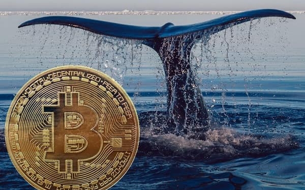 Dev balinadan aniden 627 milyon dolarlık Bitcoin hareketi: BTC'ler nereye gitti?