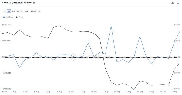 Dev Bitcoin balinaları son 2 haftada boş durmadı: İşte, sürpriz BTC verileri