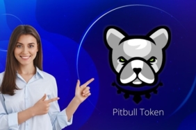 Pitbull PIT coin nedir? PIT/USD yorum, geleceği ve haberler