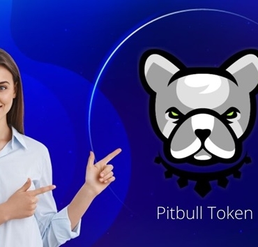 Pitbull PIT coin nedir? PIT/USD yorum, geleceği ve haberler