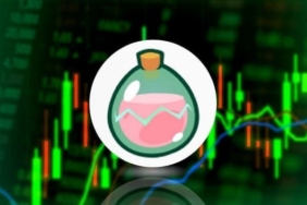 SLP coin yorum: Nedir? SLP/ETH, forum, grafik ve geleceği