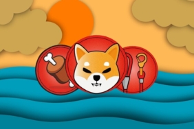 BONE coin nedir? BONE/USD yorum, geleceği ve haberleri