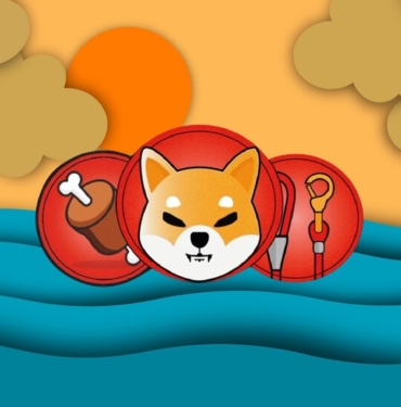 BONE coin nedir? BONE/USD yorum, geleceği ve haberleri