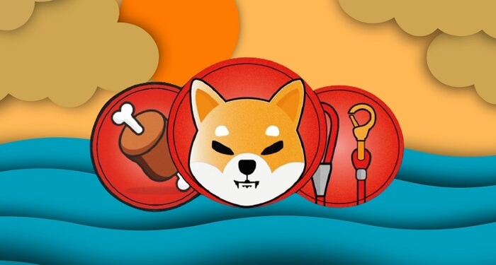 BONE coin nedir? BONE/USD yorum, geleceği ve haberleri