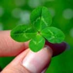 CLV coin yorum: CLV coin nedir ve geleceği nasıl?