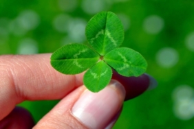 CLV coin yorum: CLV coin nedir ve geleceği nasıl?