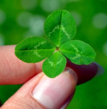 CLV coin yorum: CLV coin nedir ve geleceği nasıl?