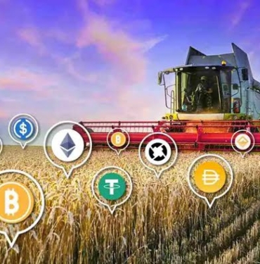 Pig coin nedir? PIG/USD yorum, geleceği ve haberler