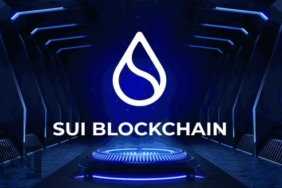 sui-coin-nedir