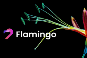 flm coin-koinmedya-com