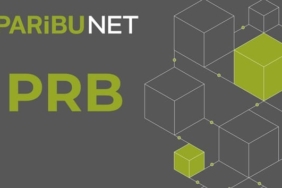 Paribu PRB coin nedir? PRB /USD yorum, geleceği ve haberler
