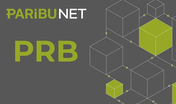 Paribu PRB coin nedir? PRB /USD yorum, geleceği ve haberler