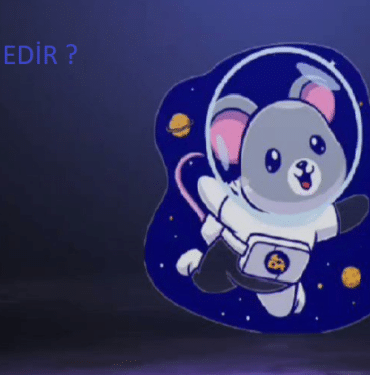 mice-coin-nedir-koinmedya-com