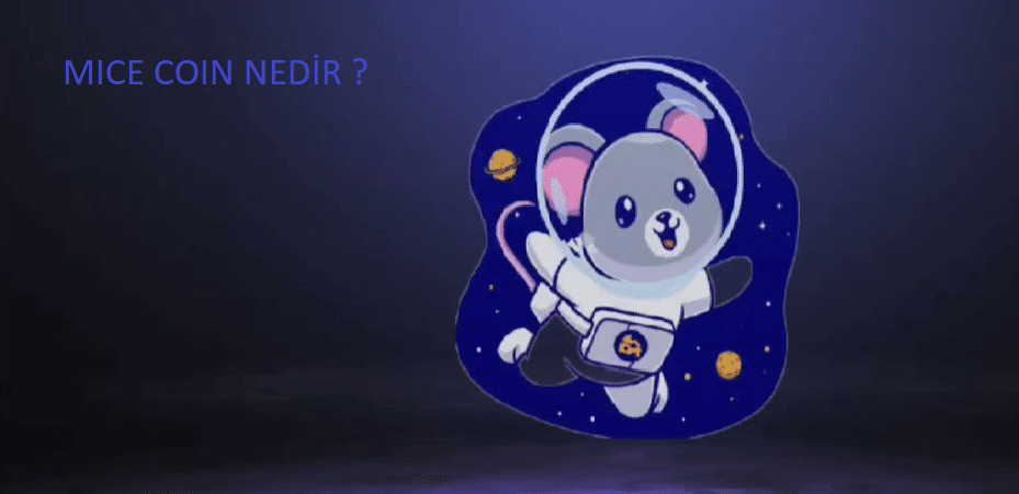 mice-coin-nedir-koinmedya-com
