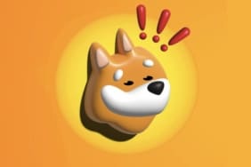 bonk-coin-koinmedya-com