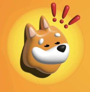 bonk-coin-koinmedya-com