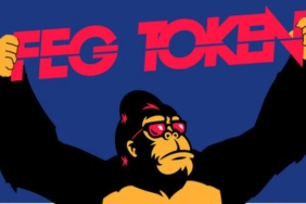 FEG-token-koinmedya-com