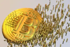 sats-coin-koinmedya-com